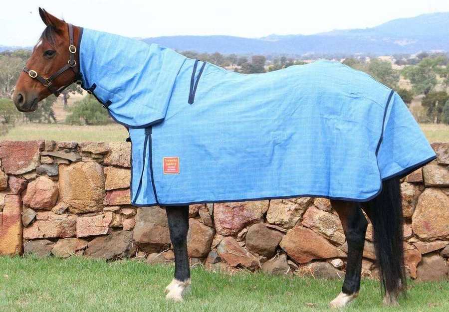 Horse wearing a turnout rug in the field